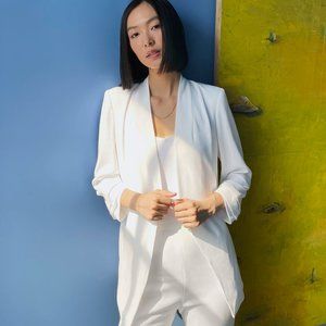 Aritzia Babaton Power Blazer White